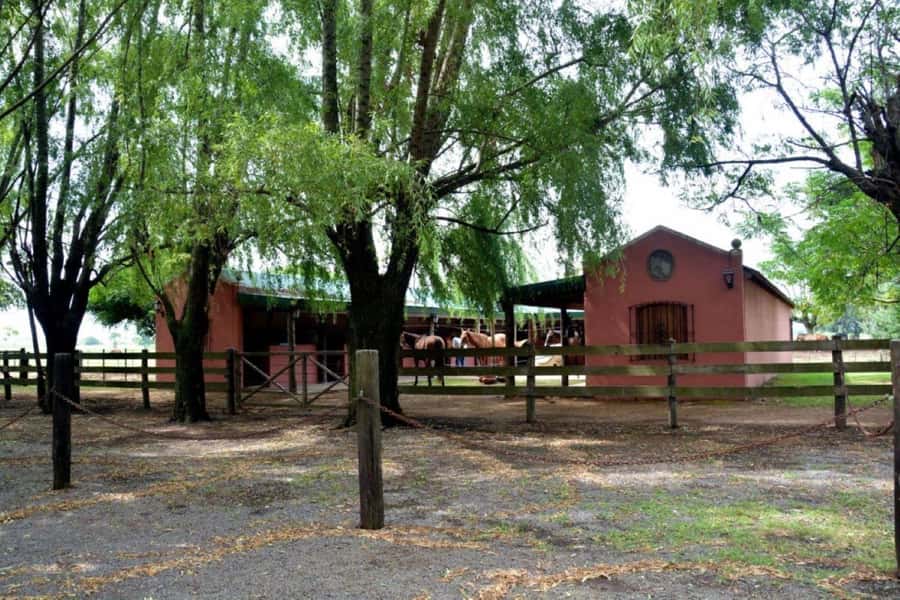 Buenos Aires: Santa Susana Ranch Day Tour, BBQ & Shows - Gaucho skills, horses, and optional riding