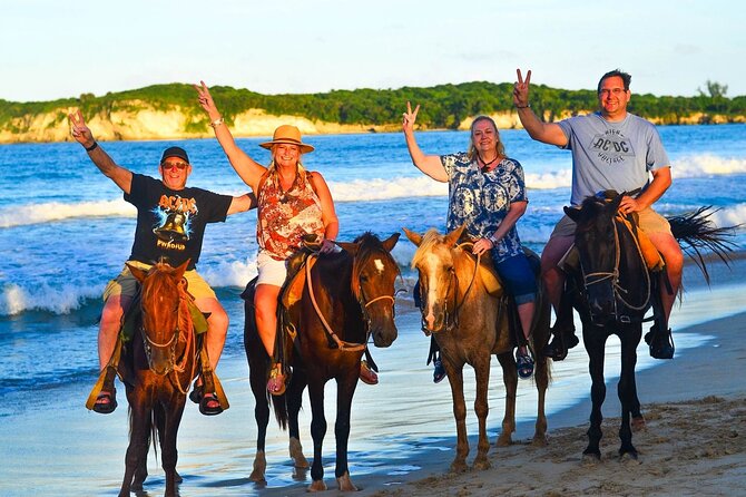 Buggy, horse and plantation ranch - Practical details before you book