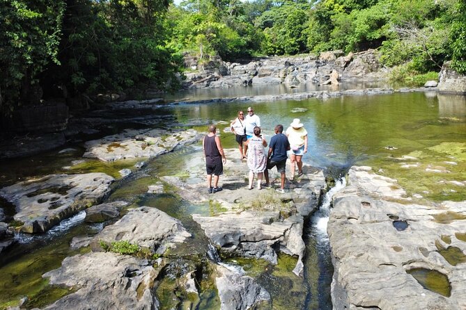 Buggy Ride, Horseback, Zipline,Eco Farm,Macao Beach - Cocoa, Coffee, Tobacco, and a Taste of Local Life