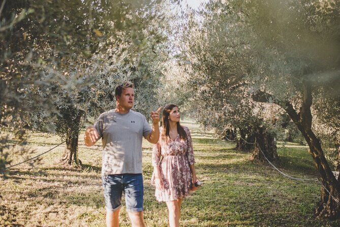 Buje: Authentic Istrian family farm, guided walk, foods & wine - Olive groves, vineyards and wide Istrian views