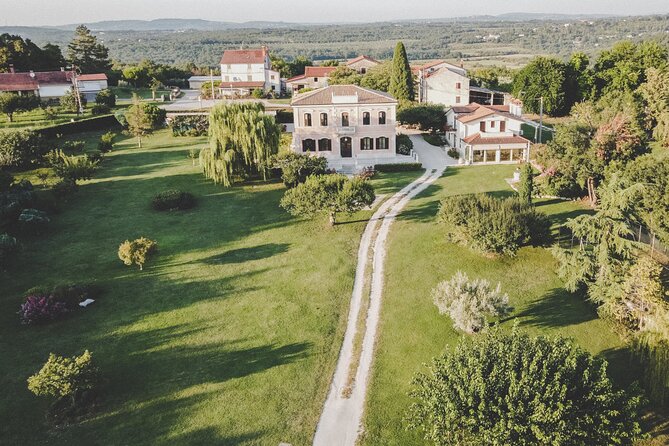 Buje: Authentic Istrian family farm, guided walk, foods & wine - Through the orchard with 31 kinds of fruit