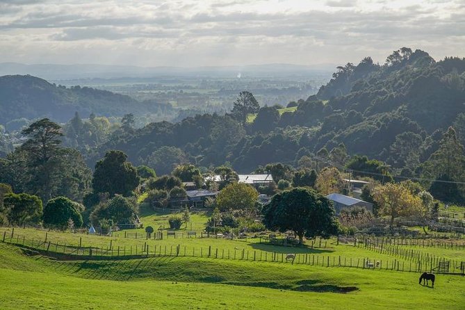 Bullswool Heritage Farm General Entry Ticket - Start with the animals and let the day unfold