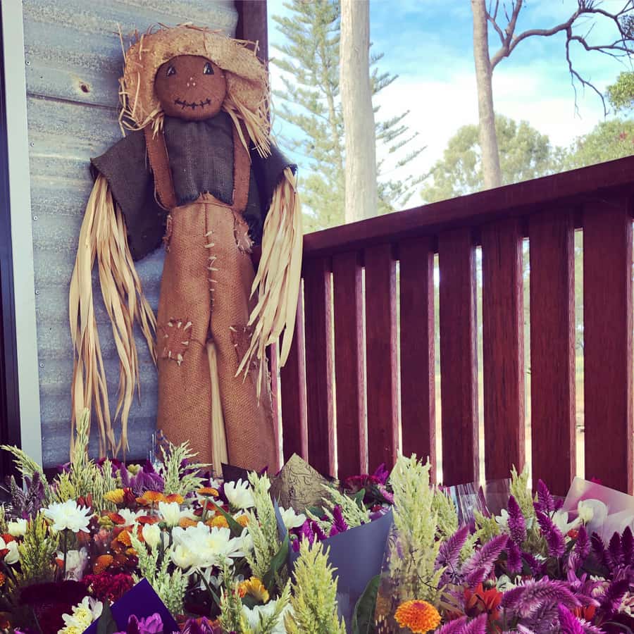 Bundaberg: Family-Friendly Entry Ticket to Splitters Farm - How the self-guided walk works