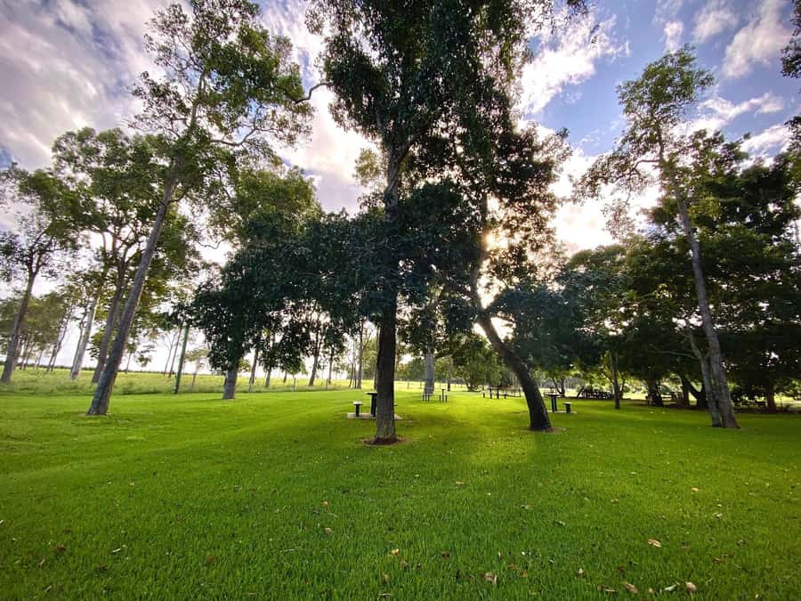 Bundaberg: Family-Friendly Entry Ticket to Splitters Farm - Why this works well for families