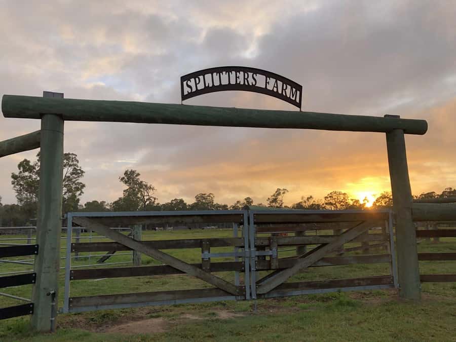 Bundaberg: Family-Friendly Entry Ticket to Splitters Farm - Feeding the animals, the highlight for children
