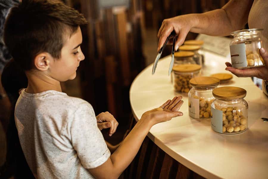 Bundaberg: Macadamia Orchard Tour - How the one-hour visit fits your day