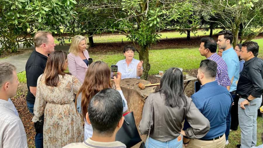 Bundaberg: Macadamia Orchard Tour - Macadamia Lane links food with Australian history