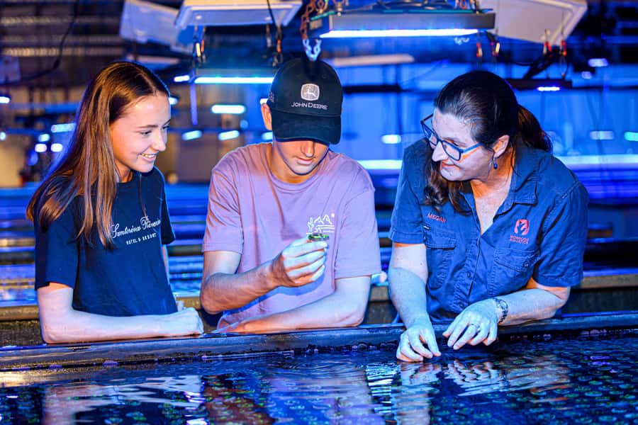 Bundaberg: Monsoon Aquatics Coral Farm Guided Tour - Inside Australia’s largest coral farm