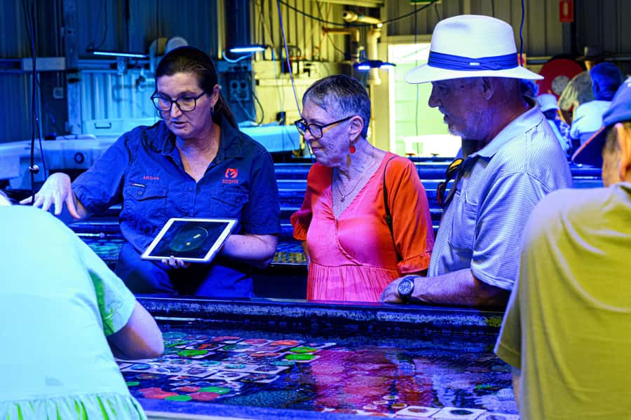 Bundaberg: Monsoon Aquatics Coral Farm Guided Tour - Practical details at the Port of Bundaberg
