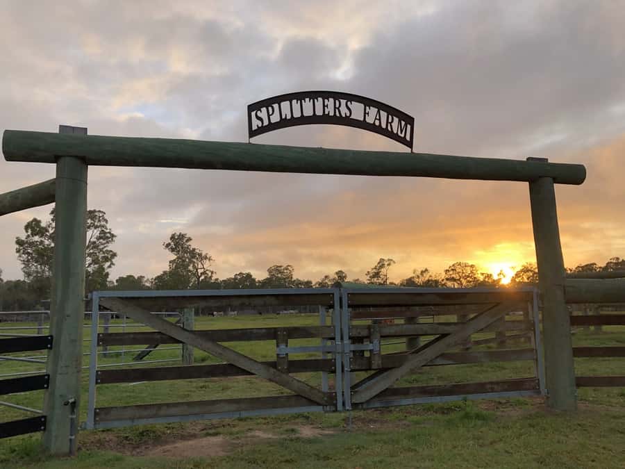 Bundaberg: Splitters Farm Guided Tour - Egg collecting, honey, and macadamias