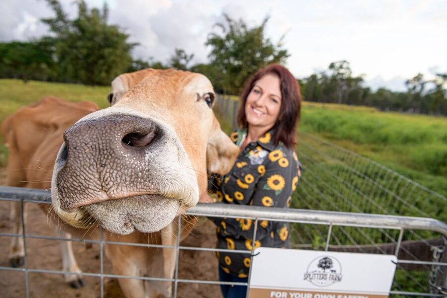 Bundaberg: Splitters Farm Guided Tour - Weather, clothing, and photo planning