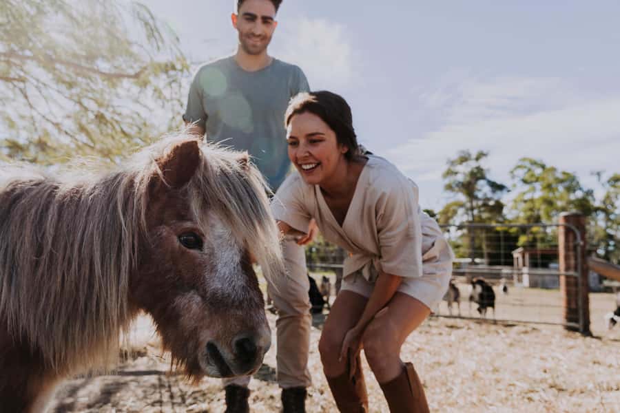 Bundaberg: Splitters Farm Guided Tour - Who will enjoy the $38 experience most