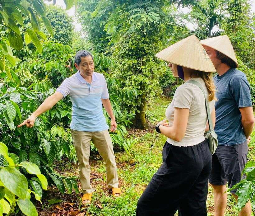 Buon Ma Thuot: Bean to Brew Coffee Farm Tour with Tasting - Robusta and Arabica, explained at the source