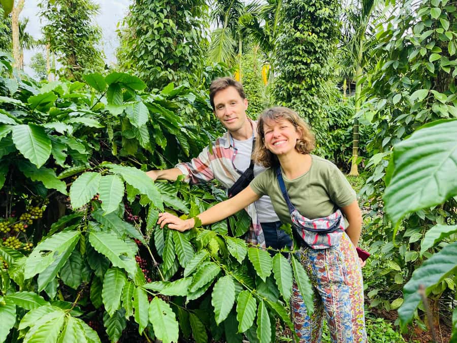 Buon Ma Thuot: Coffee Farm Tour (Bean to Brew) with Pickup - From Buon Ma Thuot Square to the coffee trees