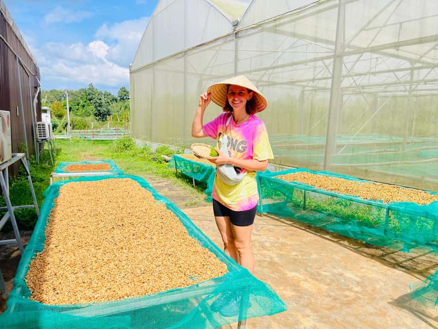 Buon Ma Thuot: Coffee Farm Tour (Bean to Brew) with Pickup - Is $25 good value in Buon Ma Thuot?