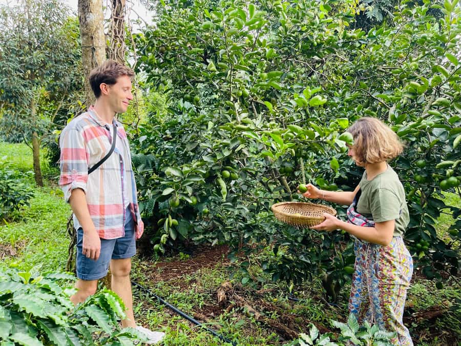 Buon Ma Thuot: Coffee Farm Tour (Bean to Brew) with Pickup - Understanding wet-dry coffee processing