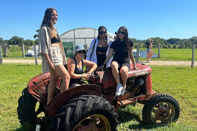 Byron Bay Day Tour: Lighthouse Sunset, The Farm and Hidden Trails - The Farm: a gentle first stop