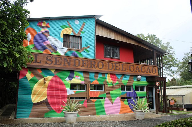 Cacao Plantation and Chocolate Factory Tour- Chocolate Lovers - Buffet lunch and a cup of hot chocolate