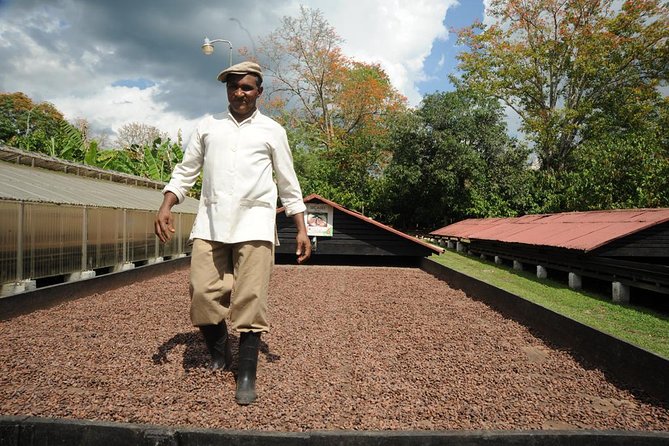 Cacao Plantation and Chocolate Factory Tour- Classic - Entering La Esmeralda Chocolate Factory