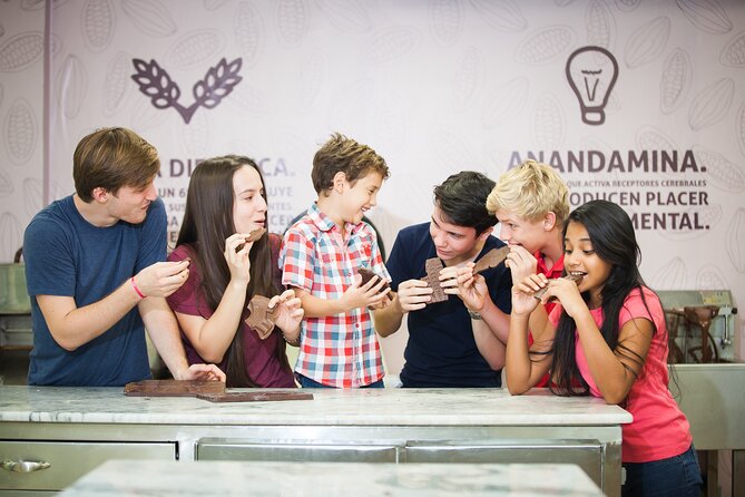 Cacao Plantation and Chocolate Factory Tour- Classic - A guided tasting, not just a sugar stop