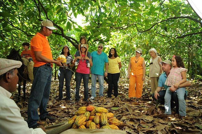 Cacao Plantation and Chocolate Factory Tour- Classic - Clothing and physical effort