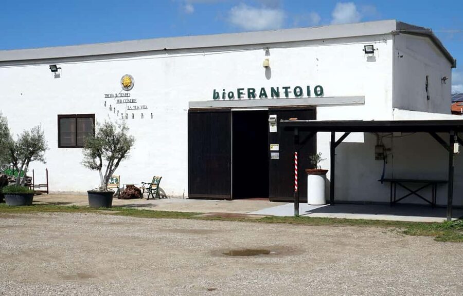 Cagliari Olive Oil Farm & Tasting (Since 1600, 20 Min Away) - Key points at a glance