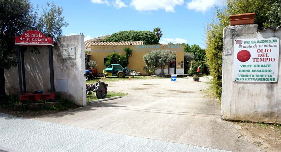 Cagliari Olive Oil Farm & Tasting (Since 1600, 20 Min Away) - Why this small Dolianova mill is worth your time
