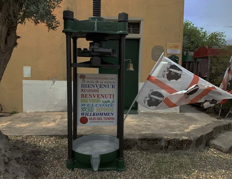 Cagliari Olive Oil Farm & Tasting (Since 1600, 20 Min Away) - Sa Mola de Su Notariu and the old stone mill