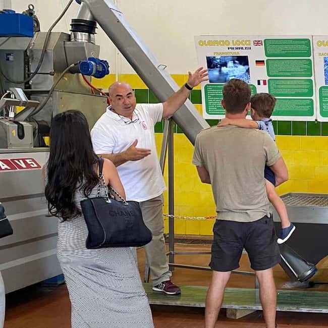 Cagliari Olive Oil Farm & Tasting (Since 1600, 20 Min Away) - Three oils, three ways to use them