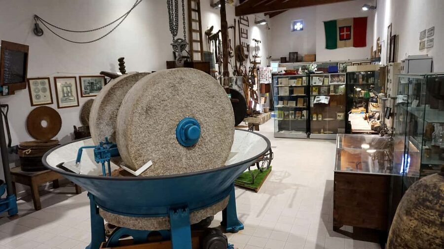 Cagliari Olive Oil Farm & Tasting (Since 1600, 20 Min Away) - The Sardinian platter makes the lesson practical