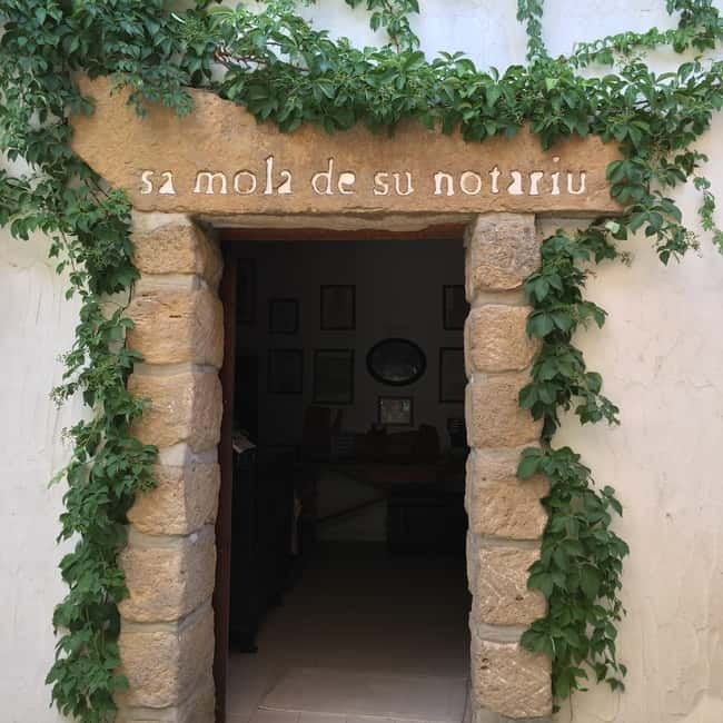 Cagliari Olive Oil Farm & Tasting (Since 1600, 20 Min Away) - Who will enjoy this most