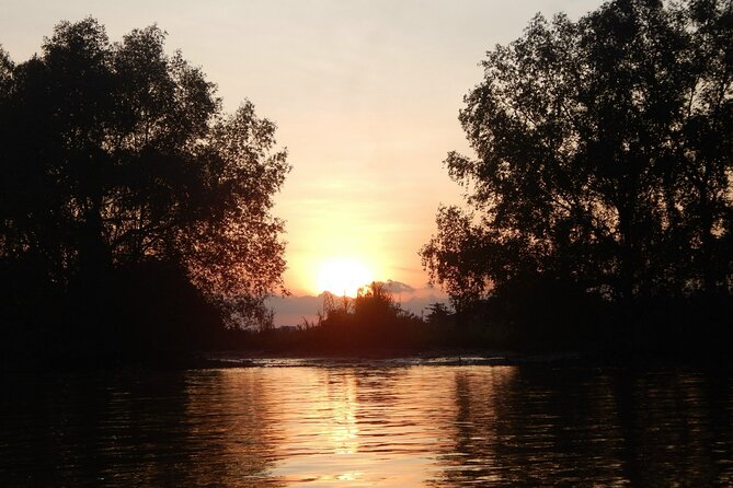 Cai Rang floating market, see sunrise, CaCao orchard, small canal - Transfers, timing, and practical planning