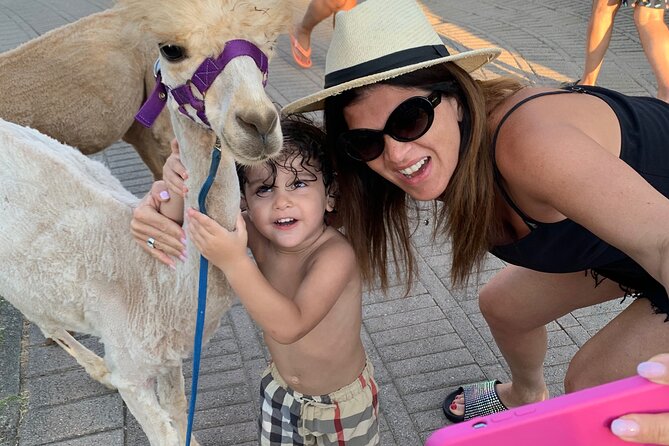 Calabrian Alpacas Sunset Beach Experiences Pizzo VV AlpacSelfies - What happens between 7 and 8 PM