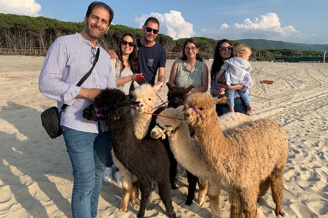 Calabrian Alpacas Sunset Beach Experiences Pizzo VV AlpacSelfies - Is $36.14 a fair price?