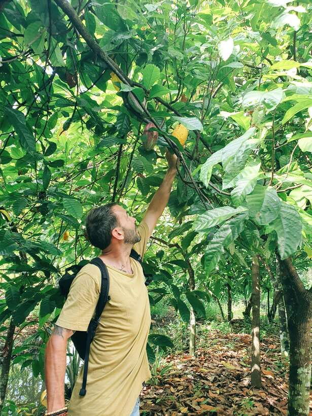 Can Tho: Countryside Cycling Tour with Cocoa Farm Visit - The heritage tree and local stories