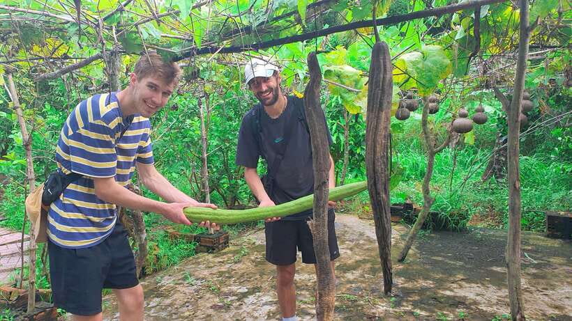 Can Tho: Countryside Cycling Tour with Cocoa Farm Visit - What the four-hour pace feels like