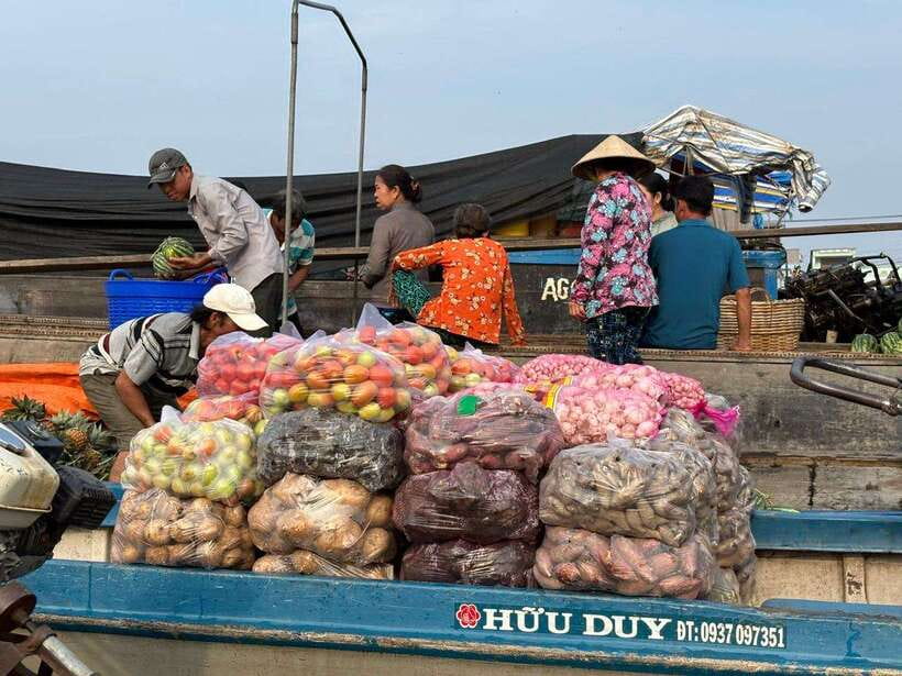 Can Tho: Floating Market, Canal, Cacao Farm & Mekong' Life - Narrow canals and water coconut palms