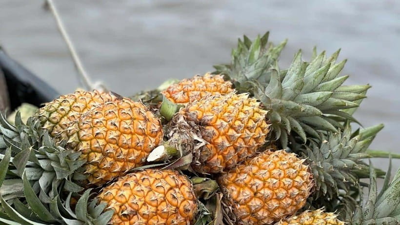 Can Tho: Floating Market explore local life, Mekong farm - Key points to know before booking