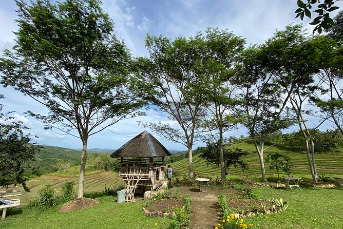 Can-umantad Falls and candijay rice terraces Eco Tour - Why Can-umantad Falls is worth the long outing