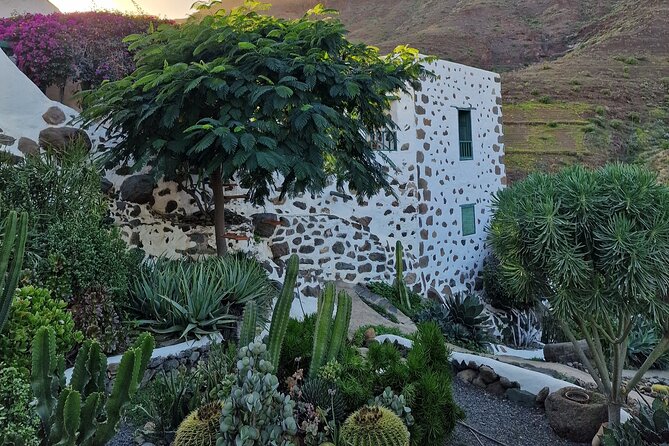 Canarian farmhouse in Mogan, mango farm and vermouth factory - Lolito vermouth, made in Mogán