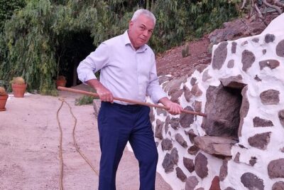 Canarian farmhouse in Mogan, mango farm and vermouth factory