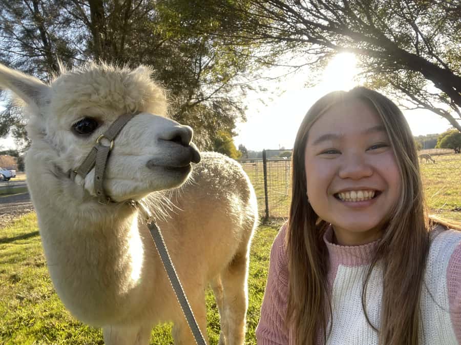 Canberra: Alpaca Adventure Farm Tour (morning tea included) - Photo stops around the dam
