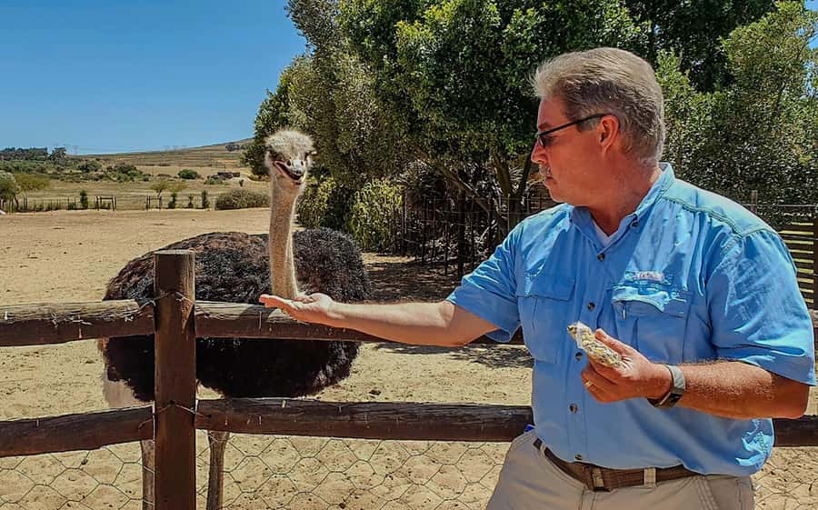 CAPE TOWN: OSTRICH RANCH QUAD BIKE RIDE & OSTRICH TOUR - Views that add real value