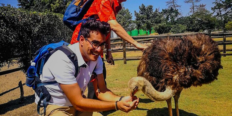 CAPE TOWN: OSTRICH RANCH QUAD BIKE RIDE & OSTRICH TOUR - What to bring and what to leave behind