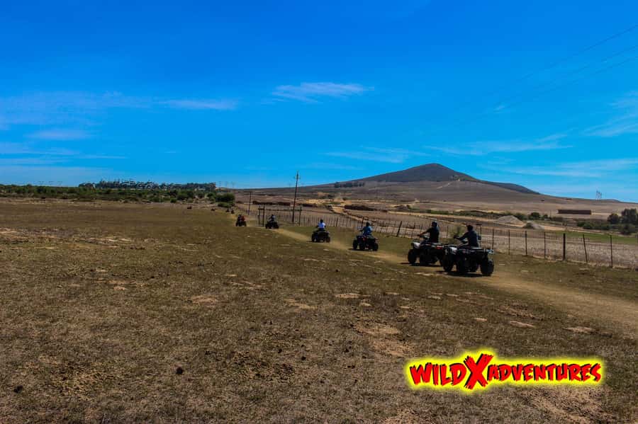 CAPE TOWN: QUAD BIKE FUN RIDE AT OSTRICH RANCH, DURBANVILLE - Thirty minutes of turns, trees, and obstacles