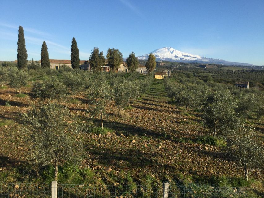 Catania: Pozzo di Gaspare Farm Guided Tour with Tastings - Should you book this farm tour?