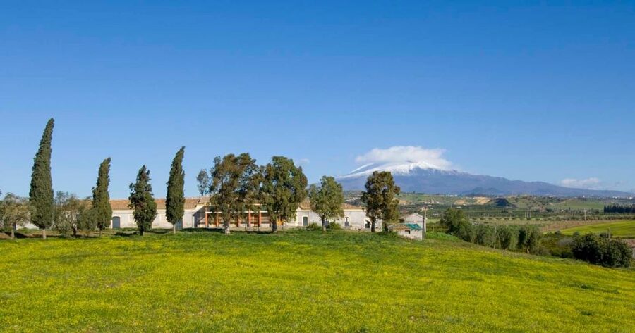 Catania: Pozzo di Gaspare Farm Guided Tour with Tastings - Is $41 a fair price for two hours?