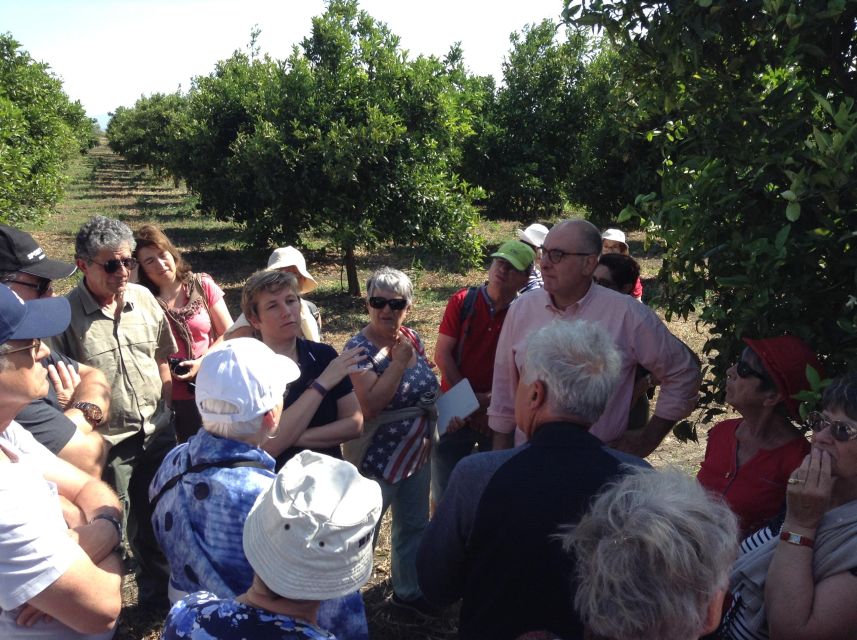 Catania: Pozzo di Gaspare Farm Guided Tour with Tastings - Getting there and planning the visit