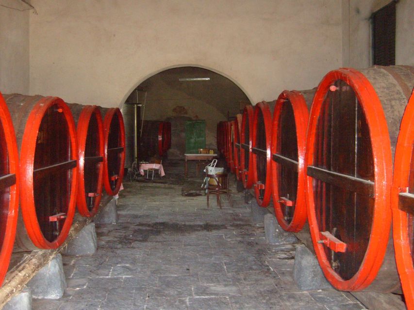 Catania: Pozzo di Gaspare Farm Guided Tour with Tastings - Walking among olive, orange, and almond trees