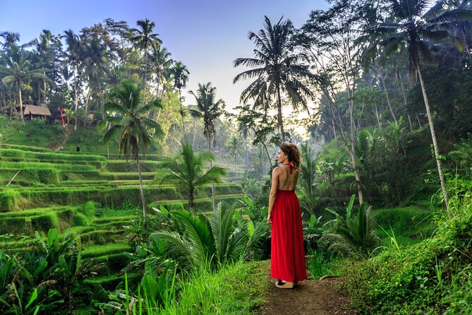 Cave Tubing Adventure & Rice terrace - The private driver is a major part of the experience